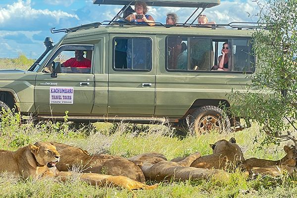 Safari Van Hire