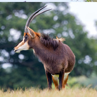 Slider Img
